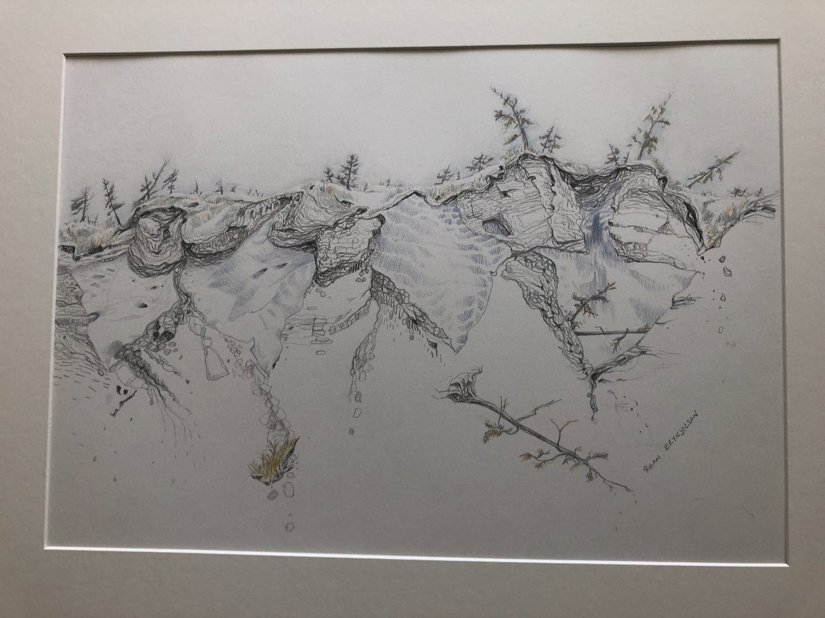 forestecogrp's tweet photo. What a Monday afternoon treat! I received this beautiful drawing from Rhian Brynjolson. It is one if her creations from our #SciArt collaboration on northern landscape change as part of the @GWFutures #VirtualWaterGallery ❄️🌲🔥 @ArnalLouise @NWF_Research https://t.co/kVYlLZNEXM