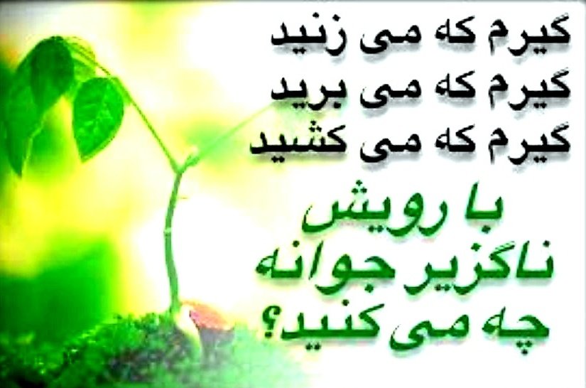 hihangash's tweet photo. با ما چنین کردین
اما
با نسل آینده
مگه میتونین
مگه میذارن

خواهیم دید ...

#دیوان_گیت https://t.co/KtQBoV29iW