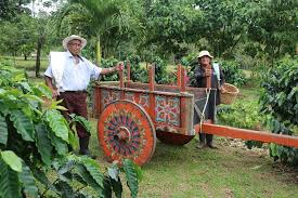 anchor.fm/costa-rica-pur… Many Global Coffee Companies Partner with Local Farmers Here in Costa Rica / Episode #1,355 / Costa Rica Pura Vida Lifestyle Podcast Series #podcast #coffee #costaricacoffee #puravida #costarica #mothernature