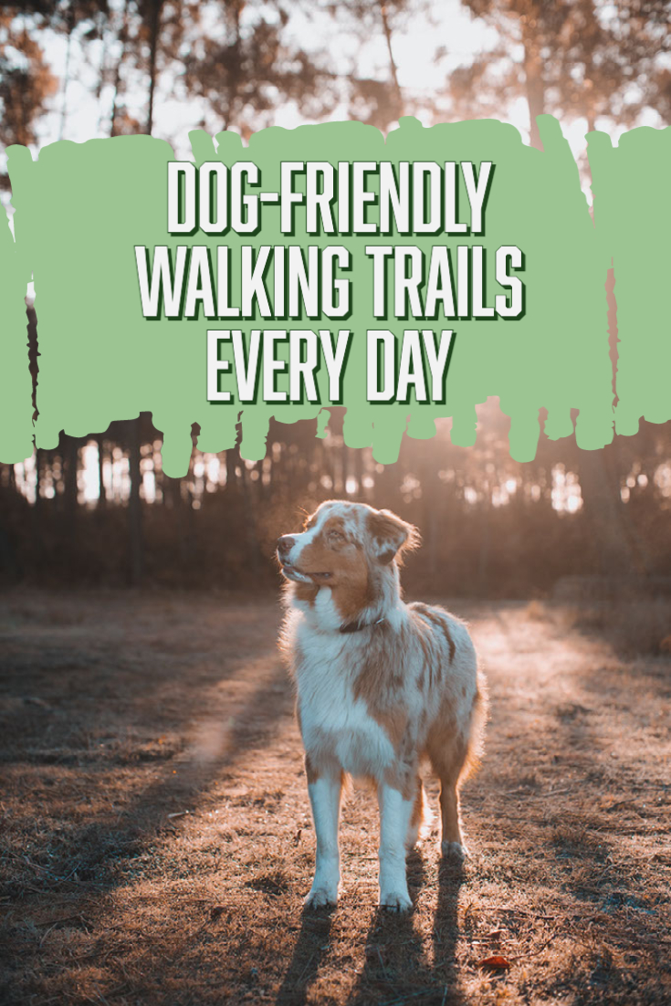 harshalp007's tweet photo. @FIDOFriendly 

Introducing Powerly, a unique product that allows users to have hands free experience of everyday dog walking filled with guided tours. 
Subscribe to the website to learn more about product updates.
Youtube: https://t.co/2sigL2VazN
Website: https://t.co/j6KKTvGQp9 https://t.co/nX25QEFfje