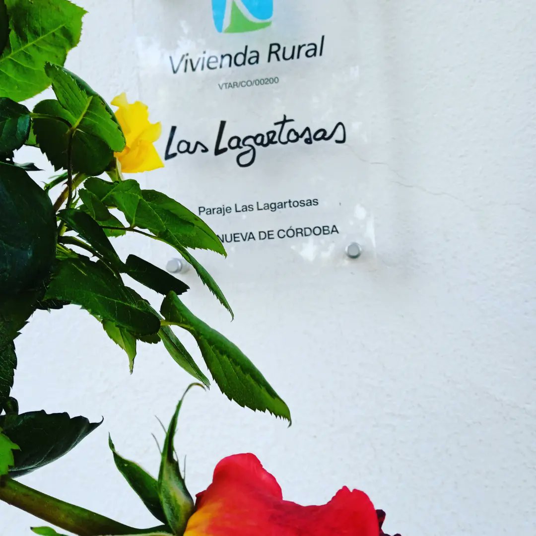 PUENTE EN MADRID Y BUSCAS SALIR HACIA #ANDALUCÍA

CORTIJO LAS LAGARTOSAS:

🏡#Alojamiento

🐷🐮Actividades de #Agroturismo Tour "El Origen del #Jamón #Ibérico"
I❤️ JAMÓN

🧘#Relax

EN PLENA #DEHESA CORDOBESA DE LOS PEDROCHES

Telf y WhatsApp #Spain (34)676344962

#puente #madrid