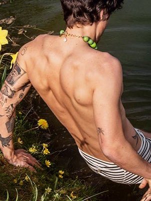 gillarry bot tweet media