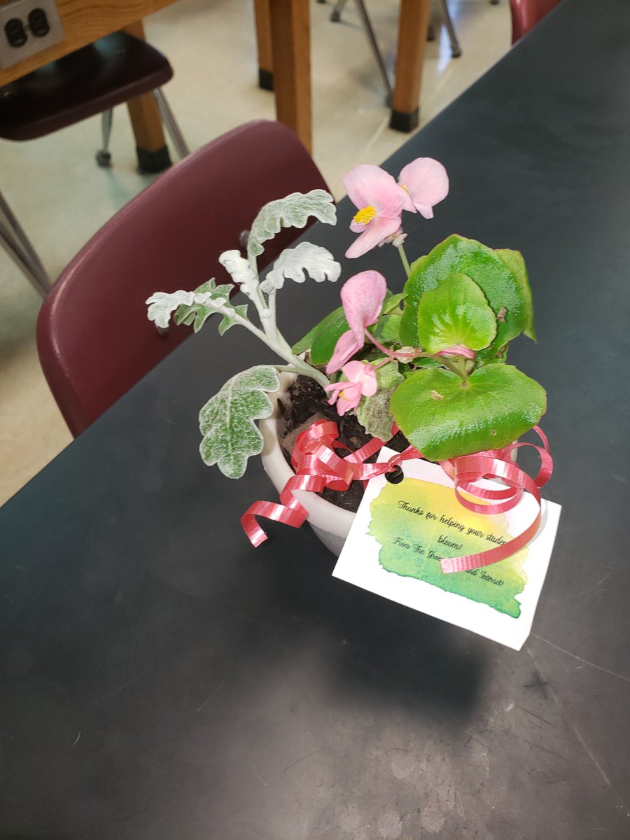 Shout out to Mrs. Keller and the Green Team for helping Interact give all of the HS staff flowers for Teacher Appreciation week!