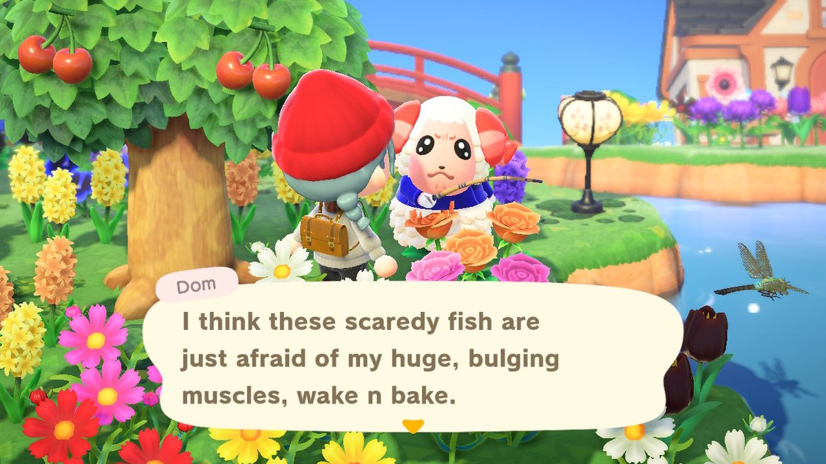 AcnhRed's tweet photo. You tell em Dom, #cutestface #AnimalCrossing #ACNH #NintendoSwitch https://t.co/PC7xvQyGlw