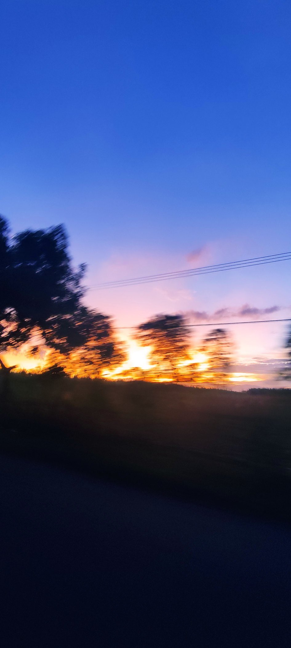 xxxx_2025_xxxxx (xxx_2025_xxxx) / Twitter