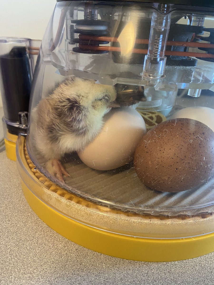 Mrs.Anderson tweet media