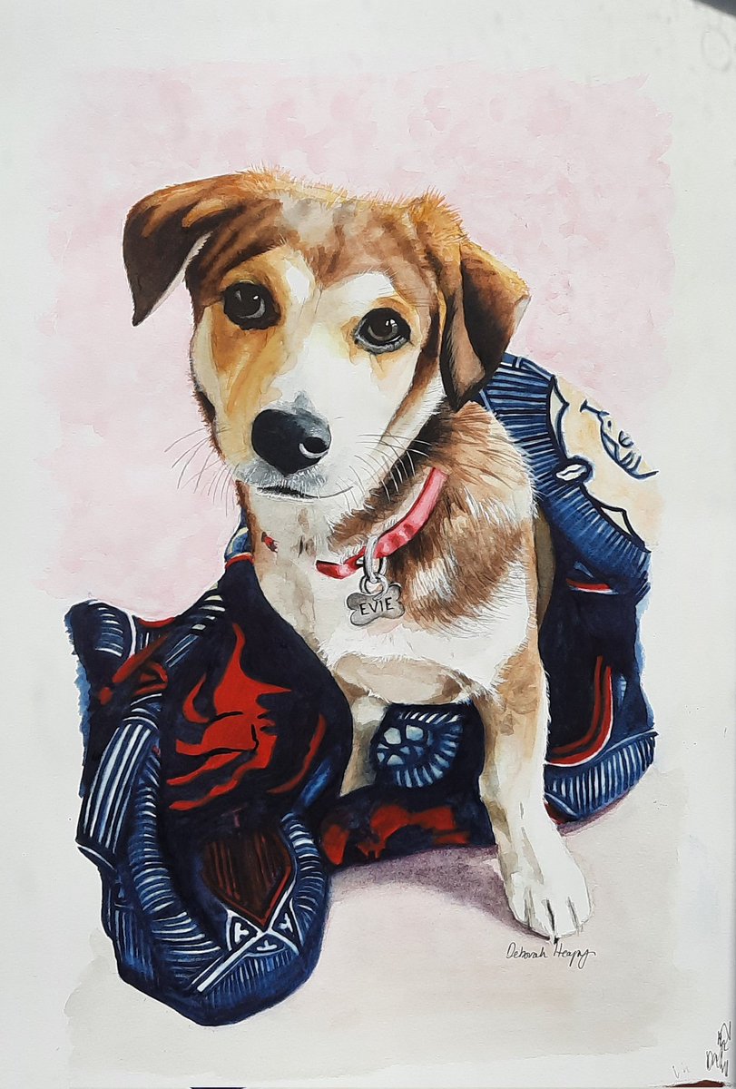 deborahheapyart's tweet photo. Large watercolour commission of the pretty little Evie. 
She's so sweet. 
Contact me for commissions 
Please feel free to like, share or follow me. 
#essex #artist #dog #RescueDogs #love #pets #family #friends #gifts #specialoccasions #celebration #painting https://t.co/CSxjXos5ti