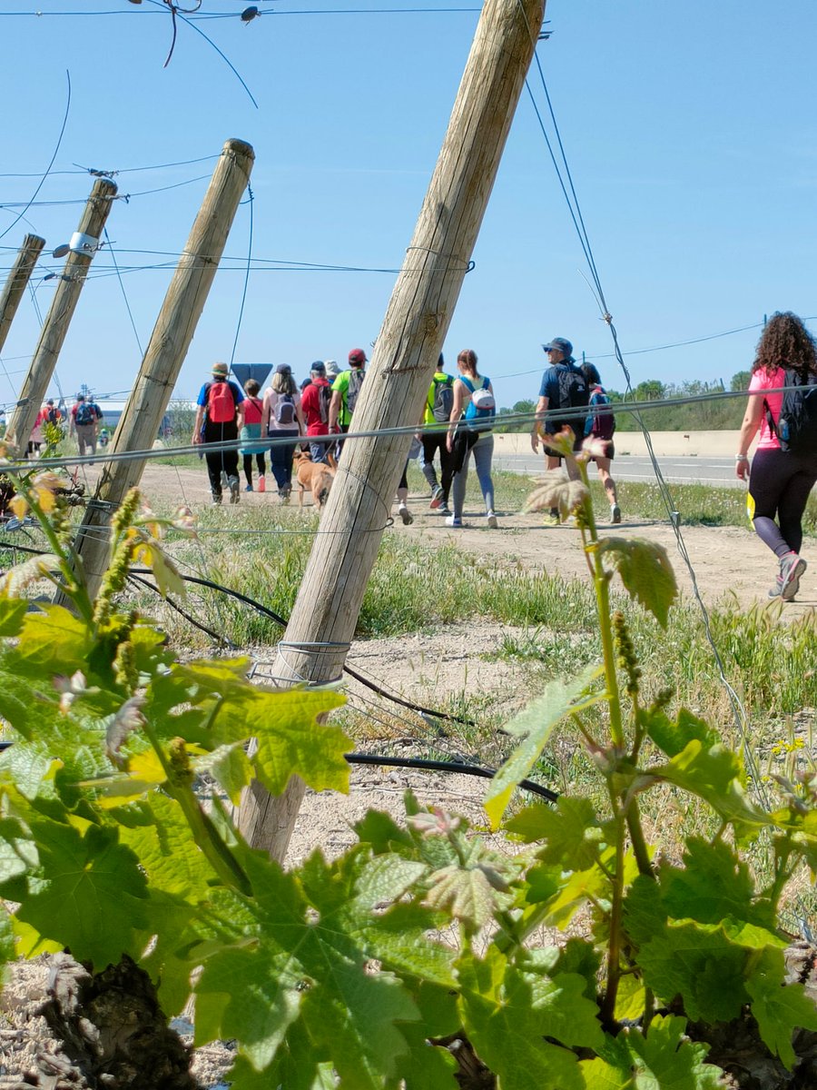 Barbastro sigue reivindicando la vía verde, nacida de una iniciativa ciudadana