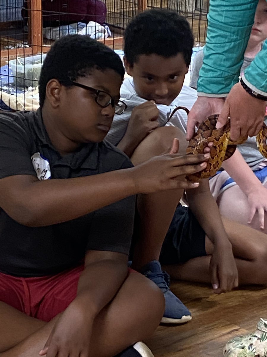 pds_5S's tweet photo. Snakes and a rabbit, oh my!  PD 5th graders enjoy some wildlife at Camp Thunderbird. #pdschargers https://t.co/c7bjBF7cCO