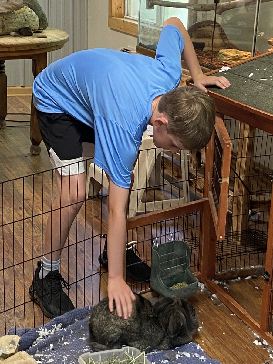 pds_5S's tweet photo. Snakes and a rabbit, oh my!  PD 5th graders enjoy some wildlife at Camp Thunderbird. #pdschargers https://t.co/c7bjBF7cCO