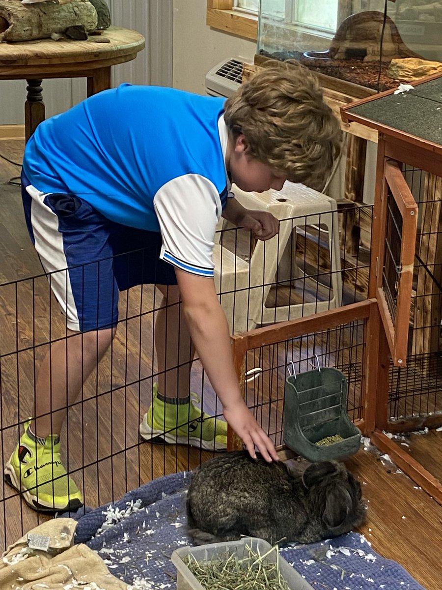 pds_5S's tweet photo. Snakes and a rabbit, oh my!  PD 5th graders enjoy some wildlife at Camp Thunderbird. #pdschargers https://t.co/c7bjBF7cCO