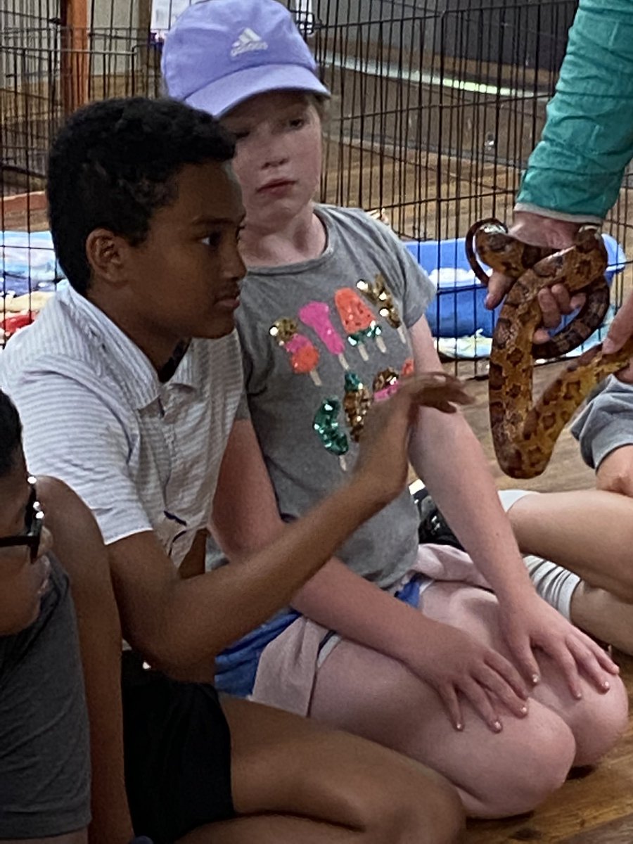 pds_5S's tweet photo. Snakes and a rabbit, oh my!  PD 5th graders enjoy some wildlife at Camp Thunderbird. #pdschargers https://t.co/c7bjBF7cCO