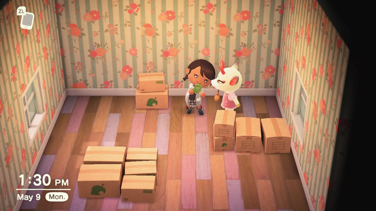 sisalicious03's tweet photo. #AnimalCrossing #ACNH #NintendoSwitch  in
 boxes https://t.co/Wl57Rb01VO