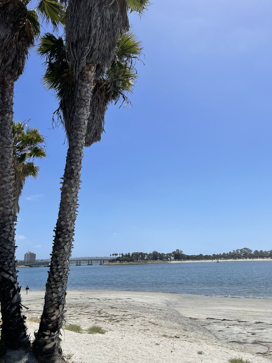 adroot12's tweet photo. Not a bad view for the week getting ready for the @AccountingWEB Summit in San Diego!
#AWEBLiveSummit #rootworks https://t.co/IjTHjLPkBv