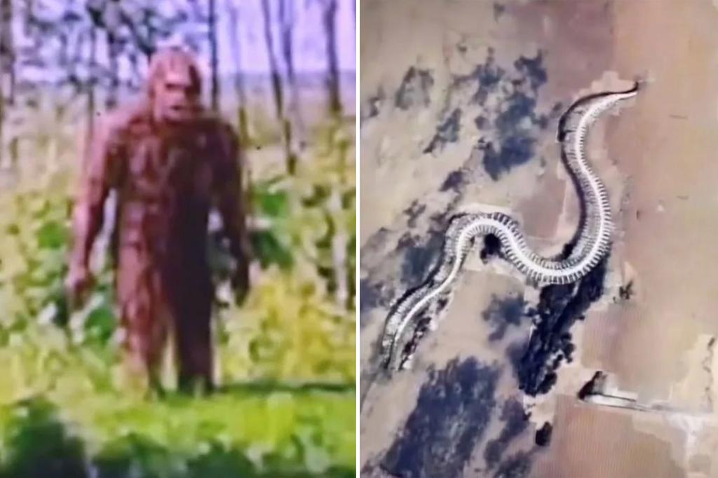 nypost's tweet photo. Google Maps sleuths spot Bigfoot look-a-like, 'giant snakes' across the world https://t.co/ZxzZ4LHxqd https://t.co/K5ZYaamUDj