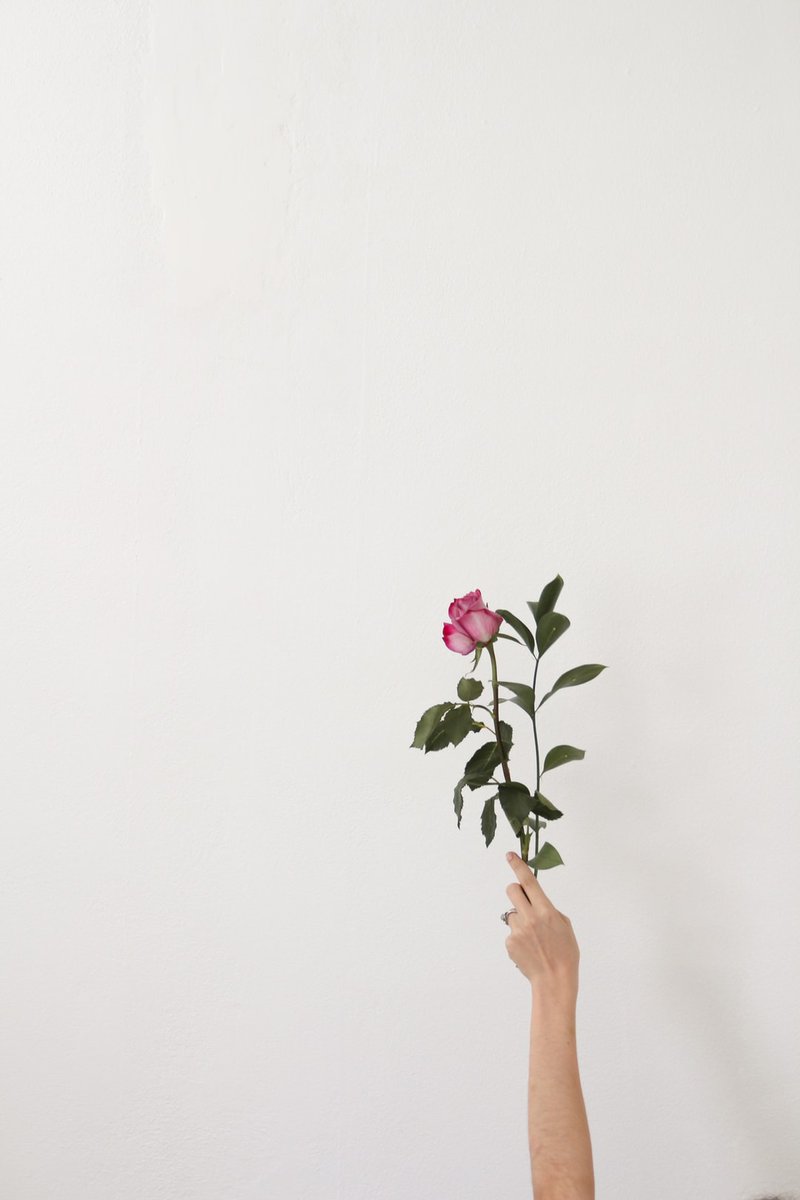 Let the beauty that you love be the work that you do! 
~Rumi