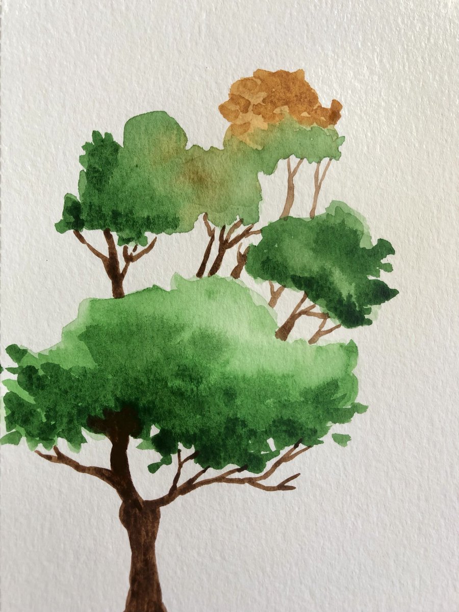 touchofeterni7y's tweet photo. Besides photography I love to paint with #watercolor. 

#art #tree #painting #nature #NFTs #nftcollectors https://t.co/2Pmd6GILLk