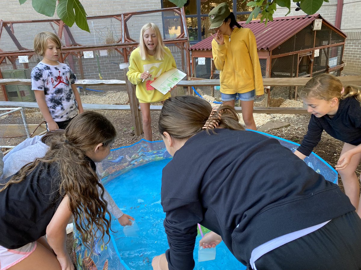 MsMiotti5th's tweet photo. @CooperSES thank you for planning such a fabulous DIGS day for our kiddos! We all loved every minute of it. ❤️ #sharonstrong https://t.co/x0ZqmeXy4T