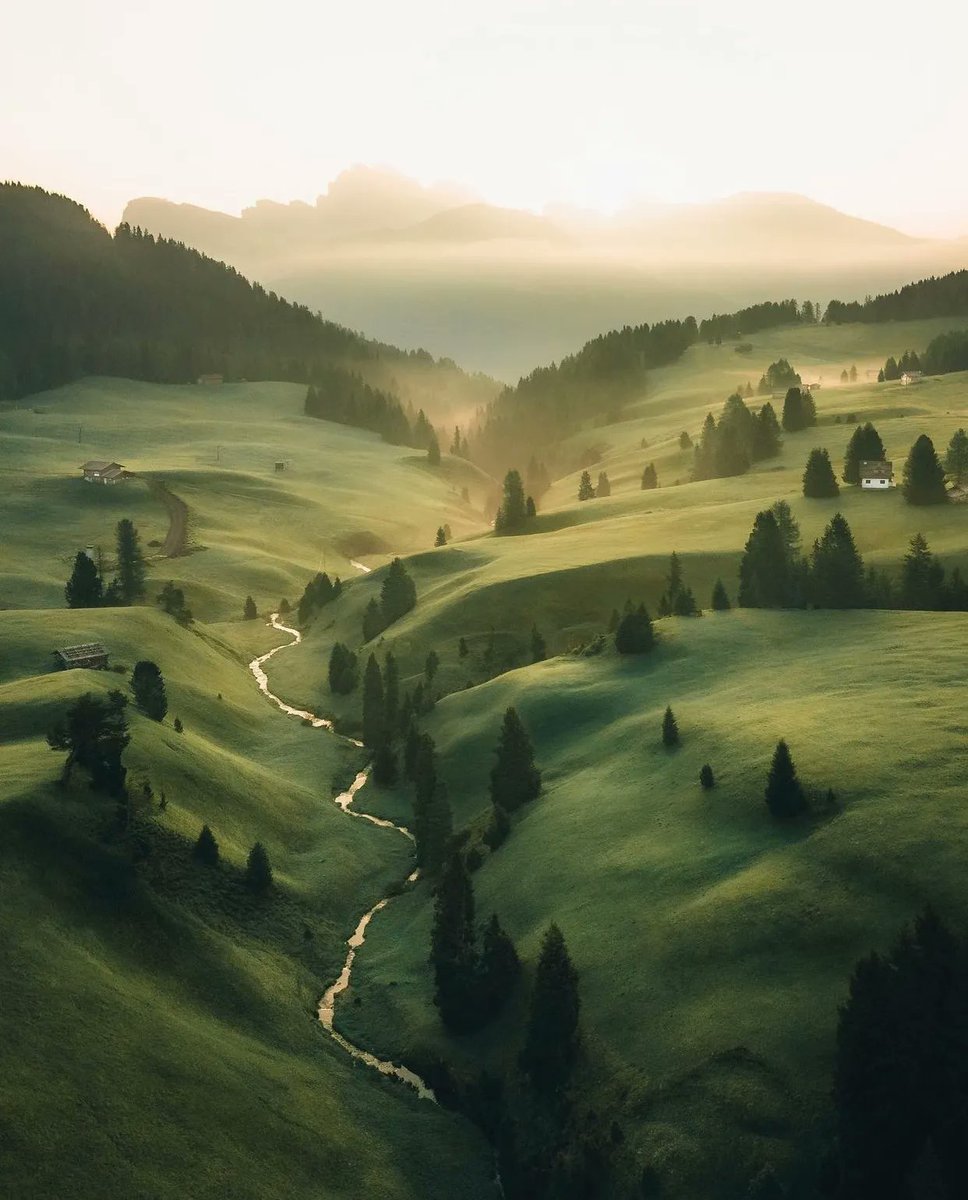 𝑵𝒂𝒕𝒖𝒓𝒆 🍃 tweet media