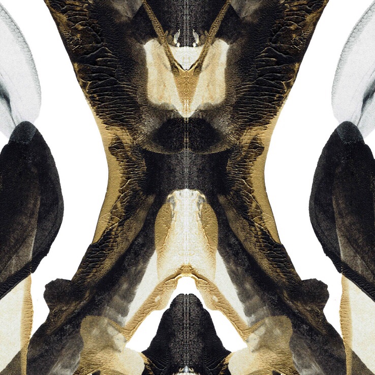 nft0tem's tweet image. Seek and you will find. 
#art #semiotics