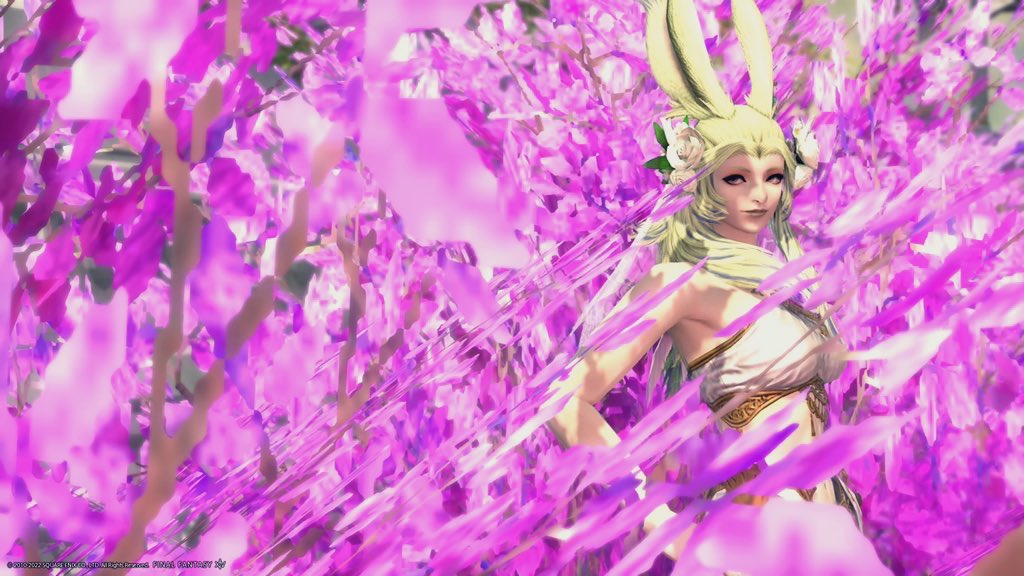 yako_Eli's tweet photo. FF14もやってます。こんな感じでのんびり。ストーリーは最新クリア済です☺
遊べる人いたら遊ぼうね！ https://t.co/bfLoc4hv2m
