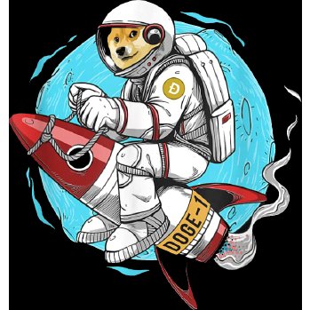 Doge-1 Mission to the moon tweet media