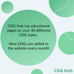 Photo by CDG Hub (@CdgHub)