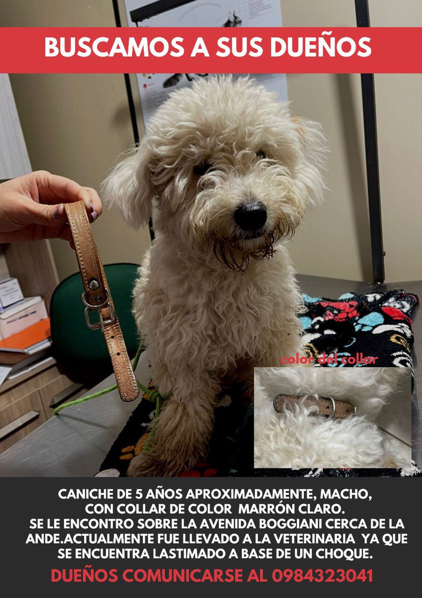MicaPortilloM's tweet photo. RT HASTA LLEGAR A  SUS DUEÑOS PORFA https://t.co/8KfOZqIruP