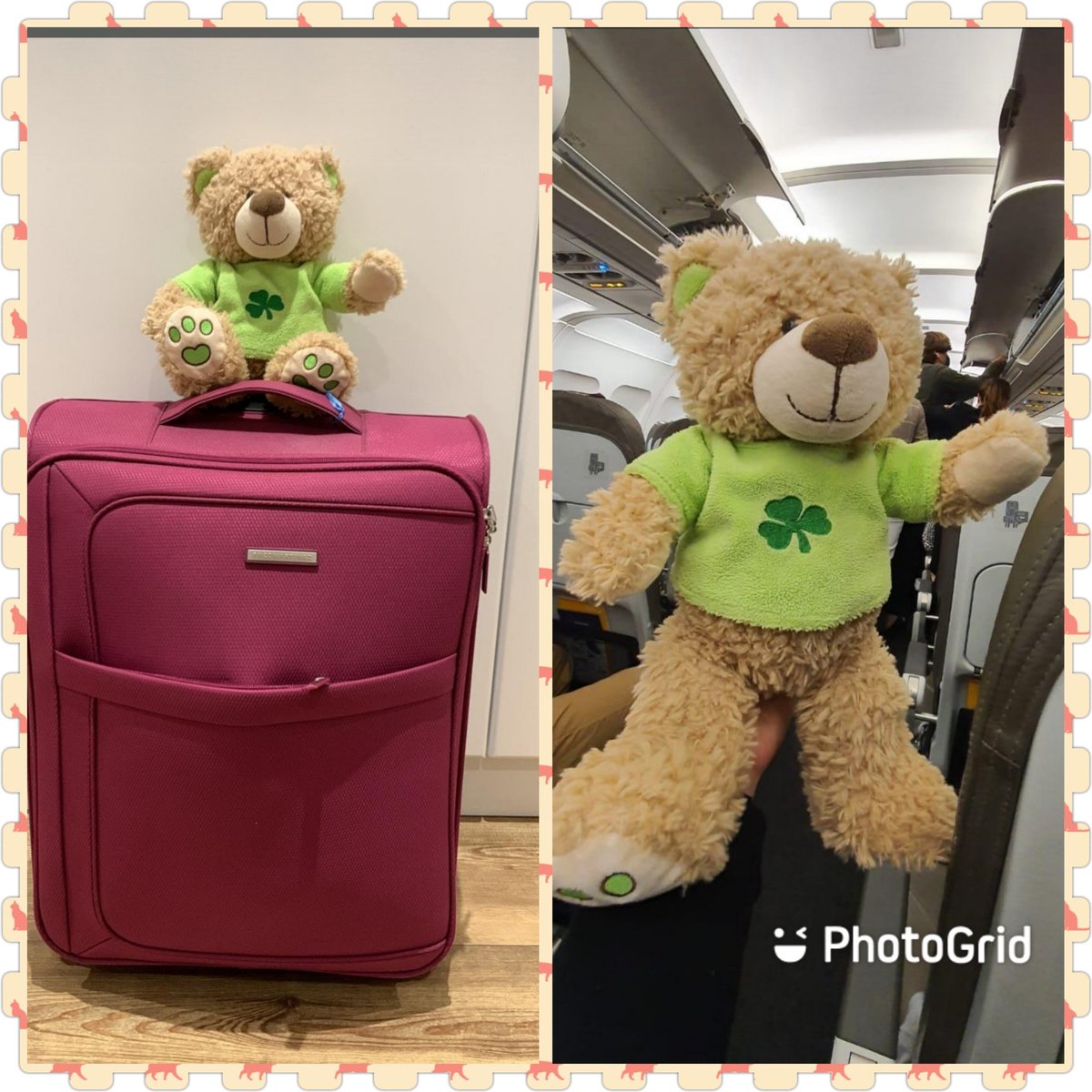 Our Irish friend Rosaleen 🐻has finally been able to come back to Ireland 🇮🇪🍀full of good experiences and anecdotes😑👯‍♂️🕺🐻. Have a safe trip Rosaleen!!!! ✈️✈️. We hope to meet you again soon!!! ❤️❤️❤️❤️#teddybearmeetinganothercountryproject #etwinnig <a href="/codemagijon/">Col.Corazón de María</a> #somoscodema