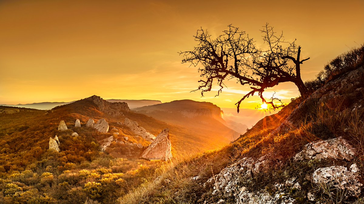 @RussianEmbassy's photo on Crimea