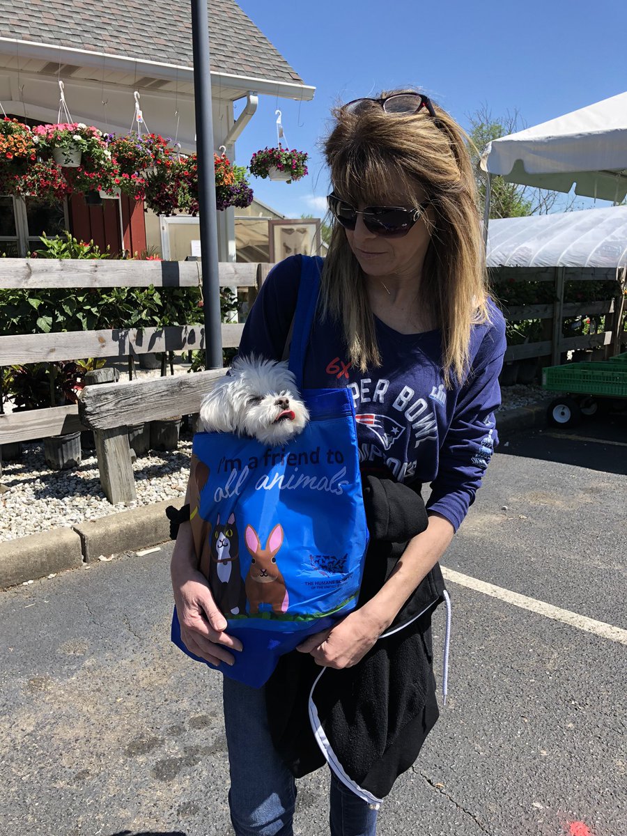 Jaxcarly0612's tweet photo. We had a fun day! Went to the nursery to get strawberry 🍓 plants and other veggies… Dog in a bag!🤭😂Have a great evening everyone❤️ #Carly💗#DemarestFarms🌸🌻 https://t.co/CQpLzvKsOT