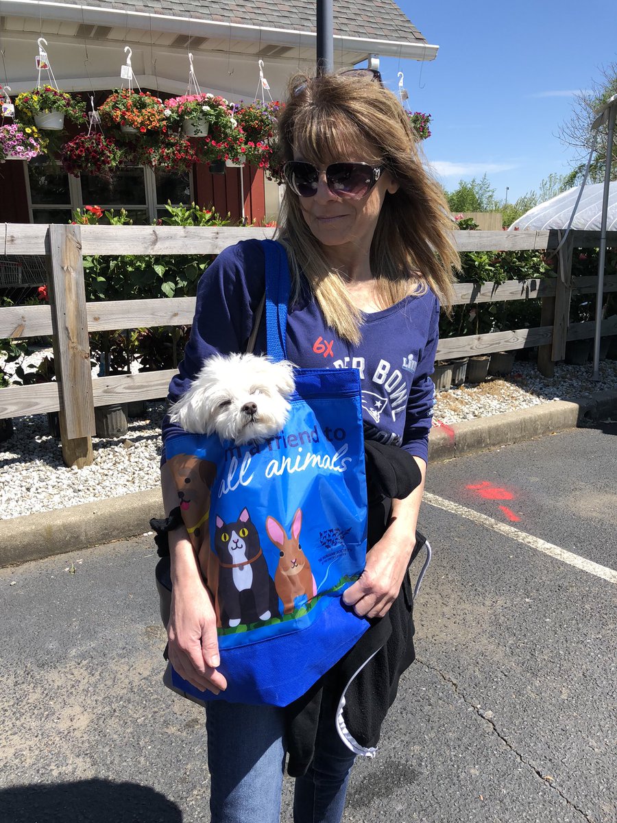 Jaxcarly0612's tweet photo. We had a fun day! Went to the nursery to get strawberry 🍓 plants and other veggies… Dog in a bag!🤭😂Have a great evening everyone❤️ #Carly💗#DemarestFarms🌸🌻 https://t.co/CQpLzvKsOT