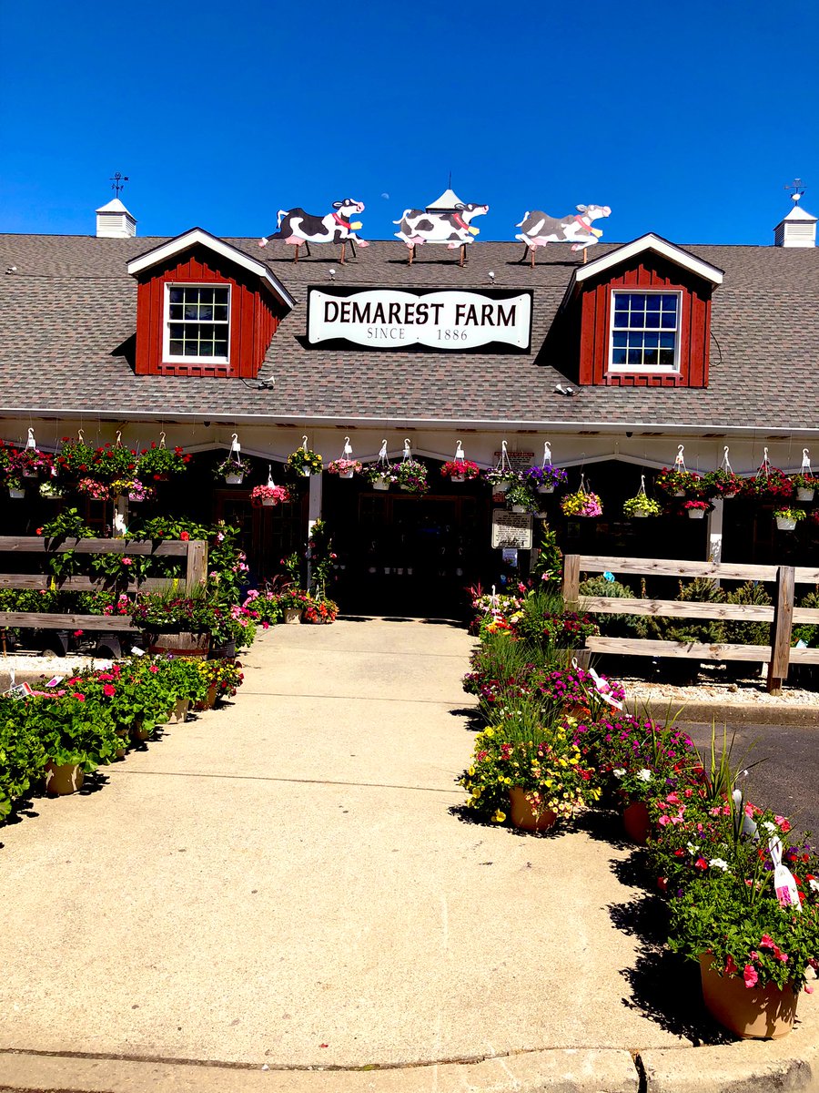 Jaxcarly0612's tweet photo. We had a fun day! Went to the nursery to get strawberry 🍓 plants and other veggies… Dog in a bag!🤭😂Have a great evening everyone❤️ #Carly💗#DemarestFarms🌸🌻 https://t.co/CQpLzvKsOT