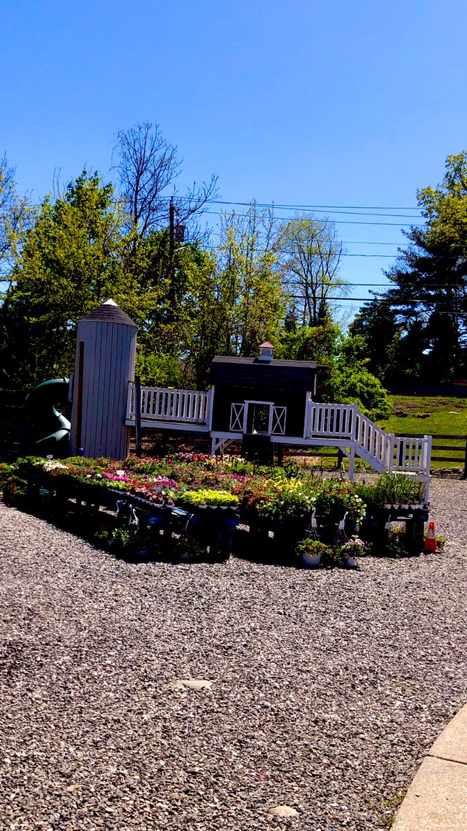 Jaxcarly0612's tweet photo. We had a fun day! Went to the nursery to get strawberry 🍓 plants and other veggies… Dog in a bag!🤭😂Have a great evening everyone❤️ #Carly💗#DemarestFarms🌸🌻 https://t.co/CQpLzvKsOT