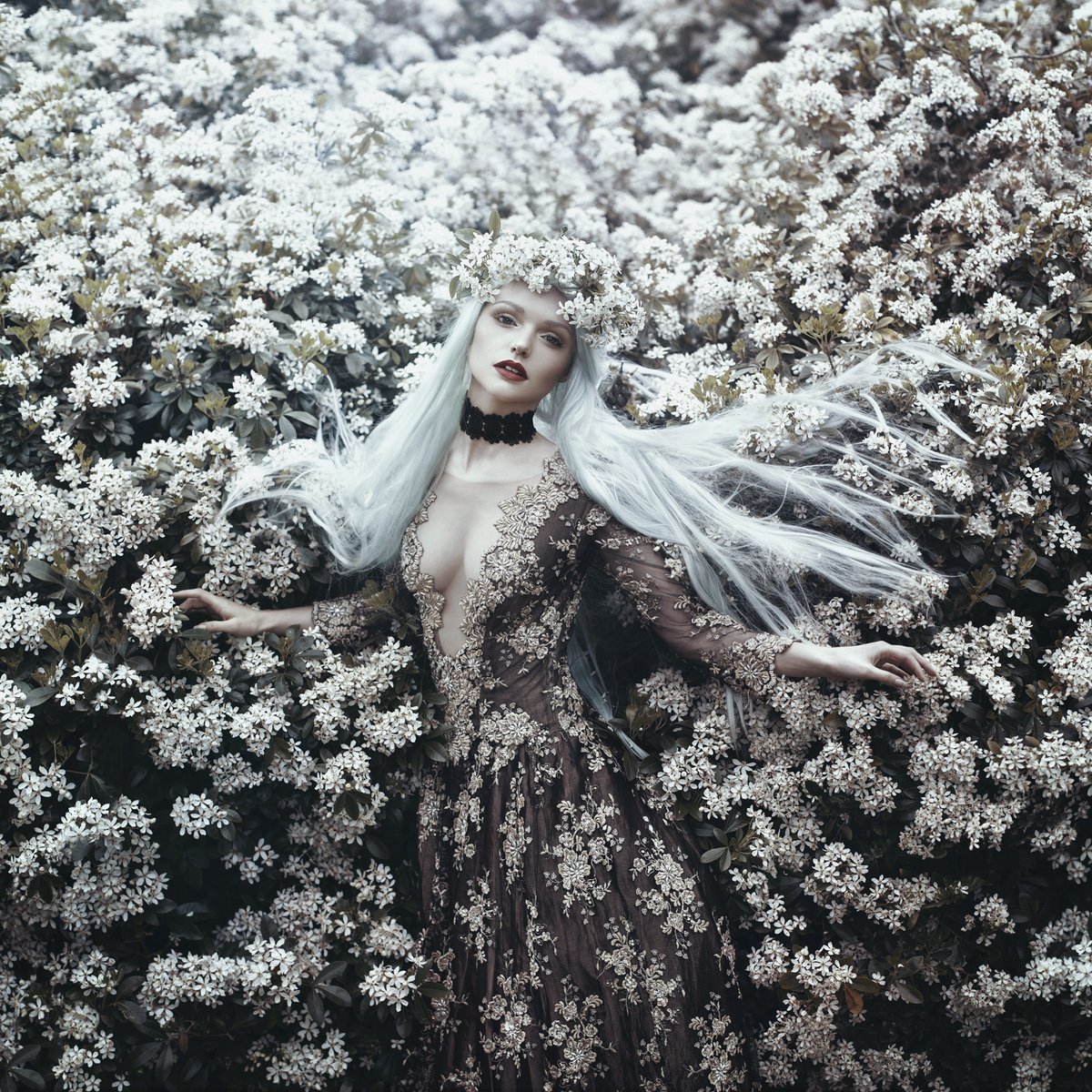 Bella 🌸✨ tweet media