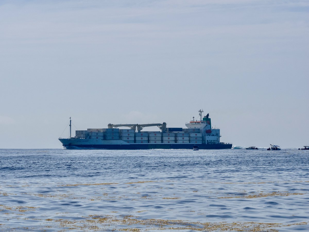 MarineMegafauna's tweet photo. 🚢 🐋 A new paper is out now on the global collision-risk hotspots of marine traffic and #whalesharks. Co-authored by MMF's @CARohner, this #newresearch illuminates vital data regarding global sea trade and #marinemegafauna injuries.
https://t.co/gvHuDyYEO5 https://t.co/s6BwsHtkSq