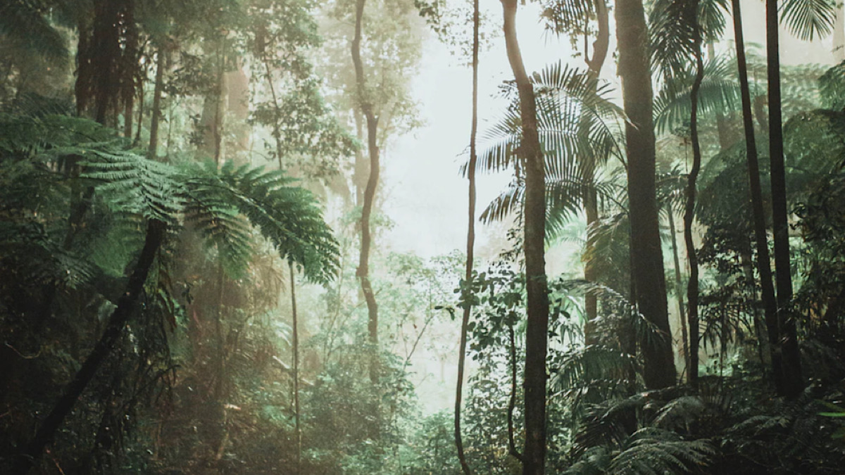 SavePlanetEarth tweet media