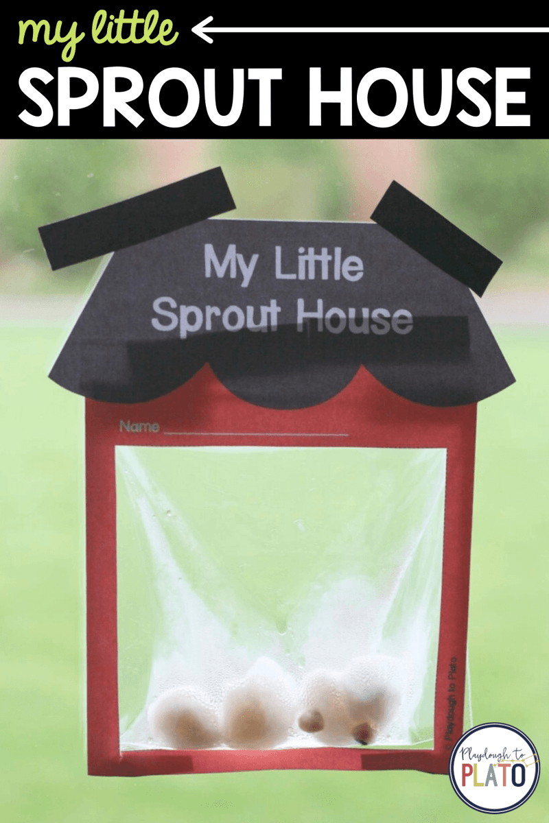Playdough2Plato's tweet photo. These adorable Little Sprout Houses take the science fun factor up a notch. With just a few minutes of prep, you’ll be ready for WEEKS of mesmerizing excitement!
https://t.co/tqd4BhYqRo
#teaching #teachers #homeschooling #plants #science #kindergarten #firstgrade #prechool https://t.co/zQdKeluAxB