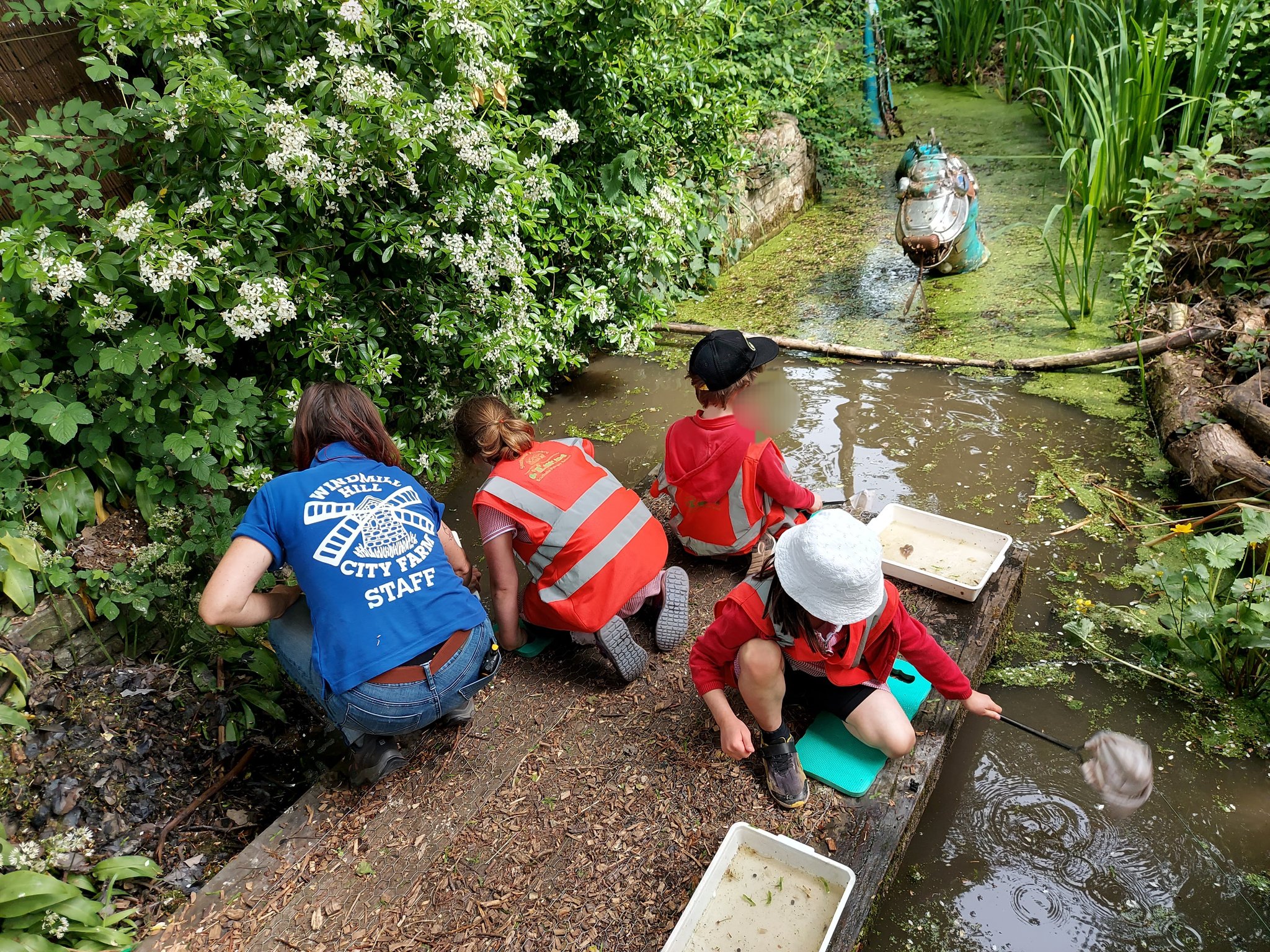 Southville Primary School on Twitter "Badger Class also hunting for