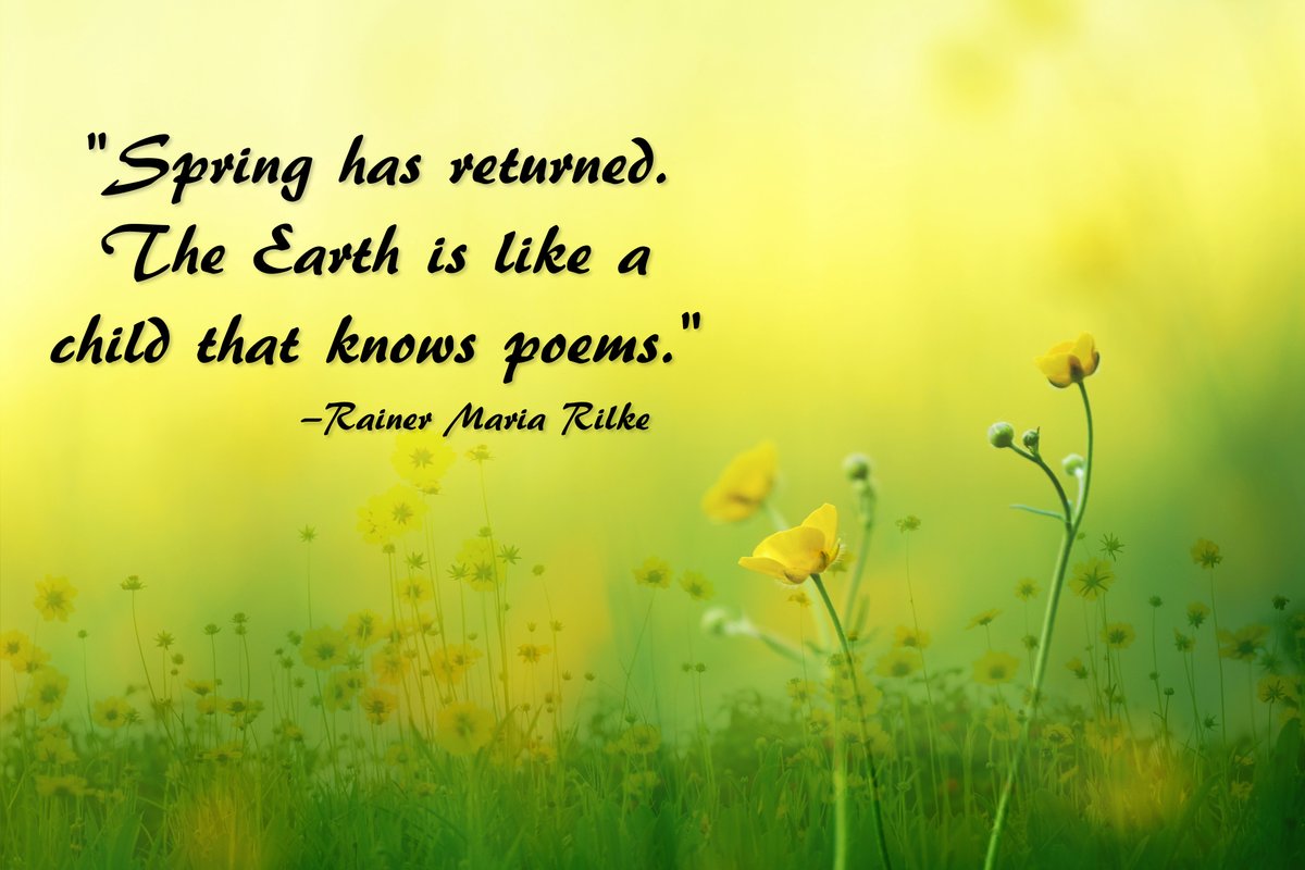 pinderbrothers's tweet image. 📸: Johannes Plenio
#QuoteofTheDay #SpringQuotes #NaturePoetry