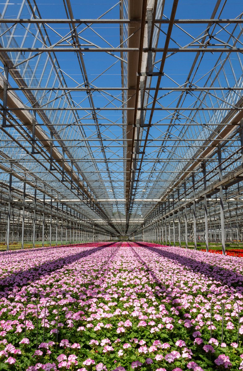 MetrolinaGreenhouses tweet media