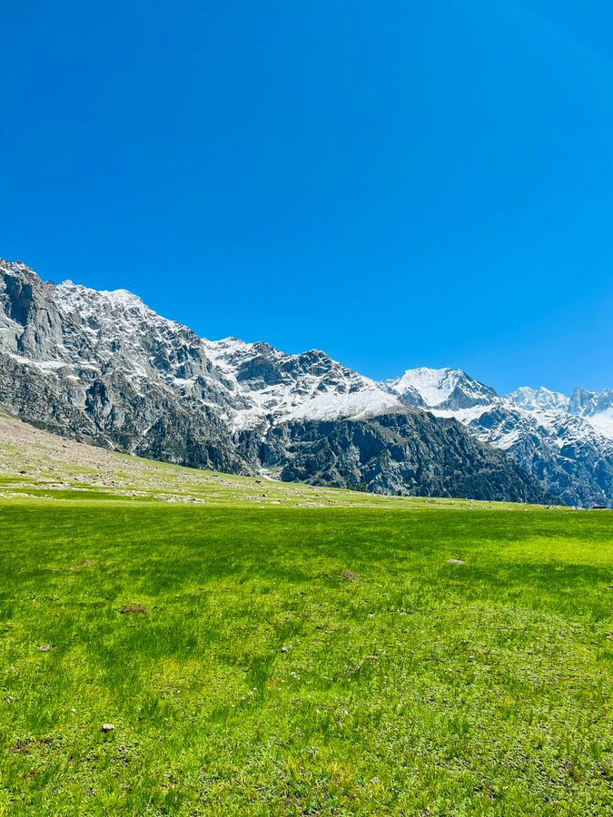 zubairtorwali's tweet photo. I would never recommend roads to such meadows unless we Pakistanis learn to appreciate and protect the nature beauty. Photo by Tariq Zeb #Chugail #Kushujan #Torwal #Mankiyal #BahrainSwat https://t.co/ANUMMK4fwl