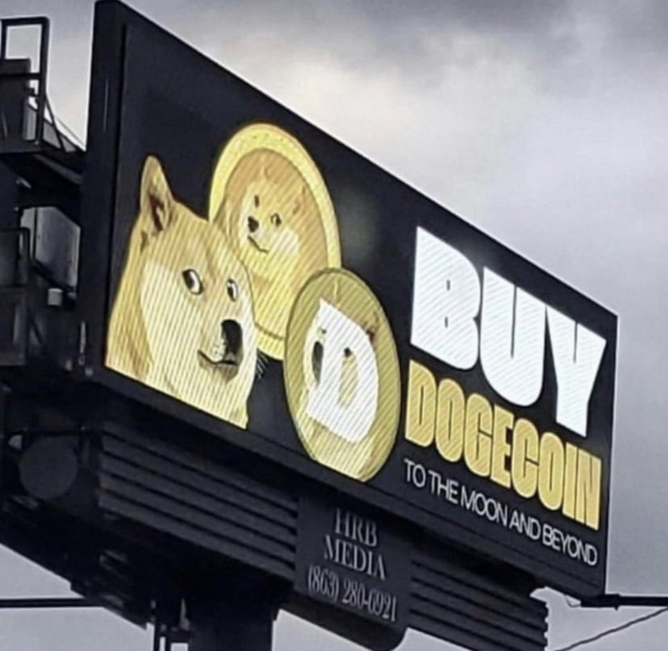 doge1moon_CEO's tweet image. Buy the $DOGE dip you can thank me later 🚀 RETWEET @elonmusk @SpaceX