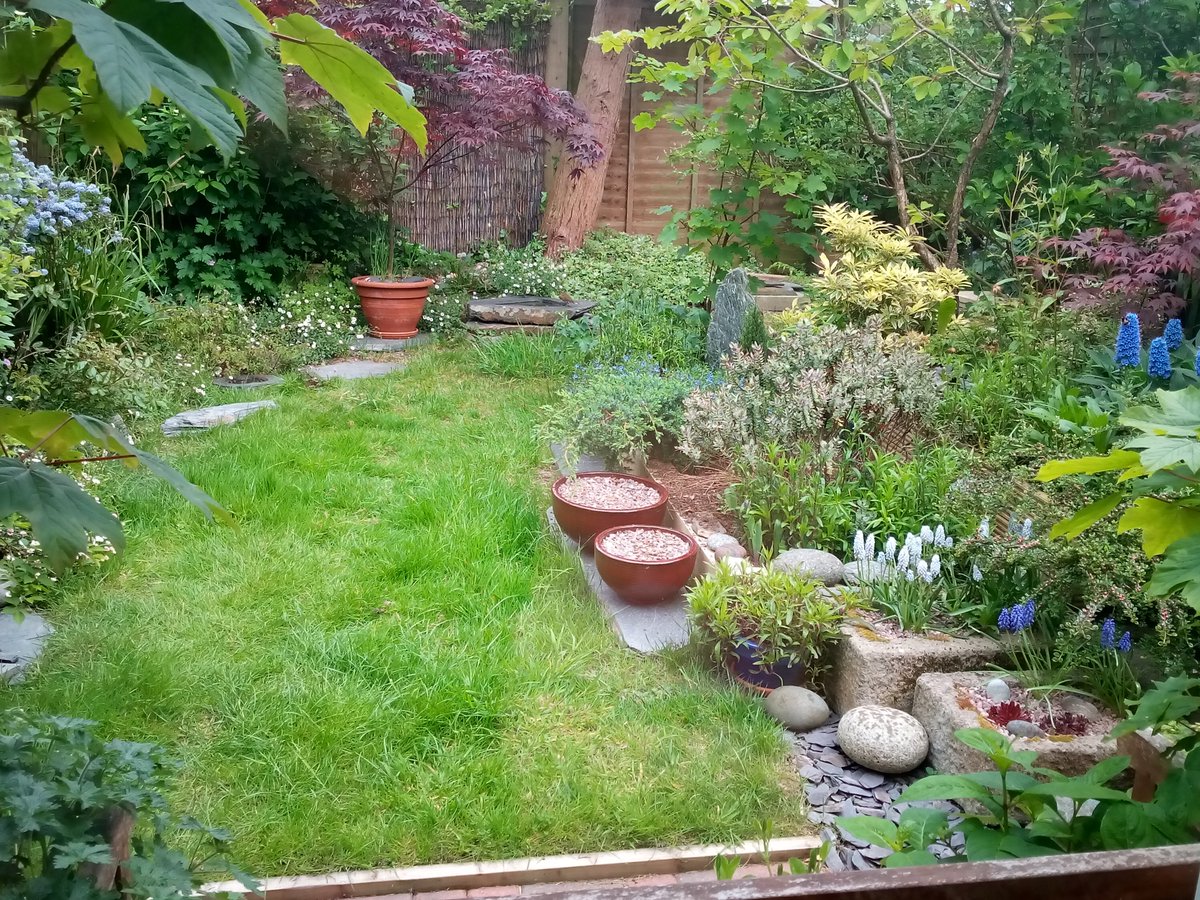 Angela Boothroyd tweet media