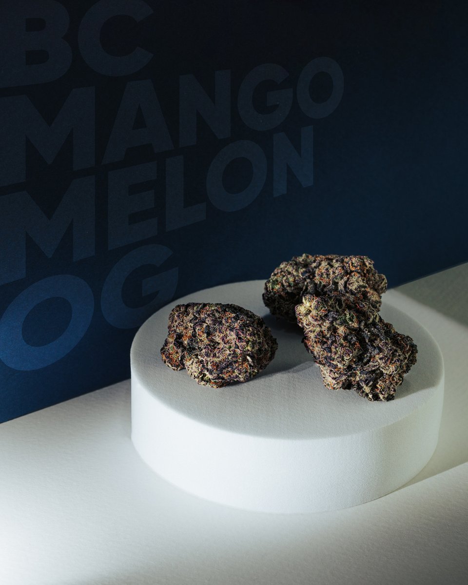 BC Mango Melon OG Dog Walkers are rolling into Ontario stores this week ✌️ This cultivar is known for its rich and fruity aroma and high THC. 

Visit us at flowr.ca/products/bc-ma… for more info. 

#GrownTrueInBC #cannabis #canadiancannabiscommunity
