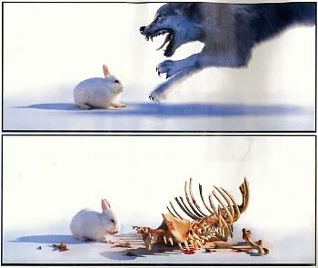 Titmousie2's tweet photo. #IsHowIGetBy
I be tiny but I be fierce π https://t.co/RHiEjl5Aw3