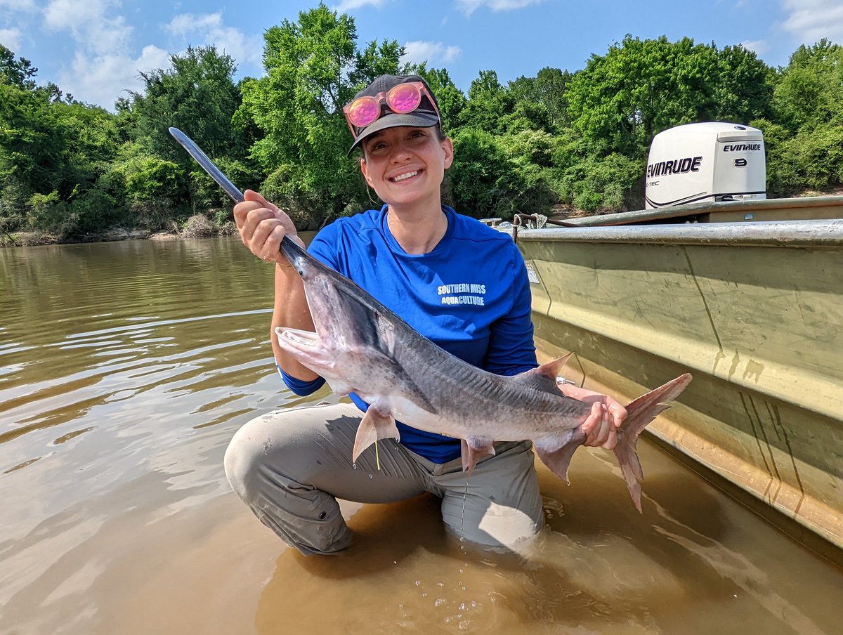 KaseaPrice's tweet photo. @Wormy_Sturgeon @April_Hugi April's first #spoonbillcatfish !! https://t.co/ebjfZPK0w0