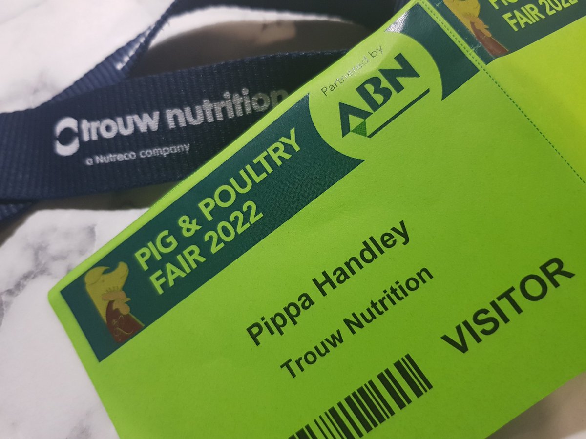Last time I attended Pig&amp;Poultry in person I left with a job interview ... this time I am on the hunt for a squidgy chicken to join my army of squidgy pigs! Gold star to anyone who can point me in the right direction 👍