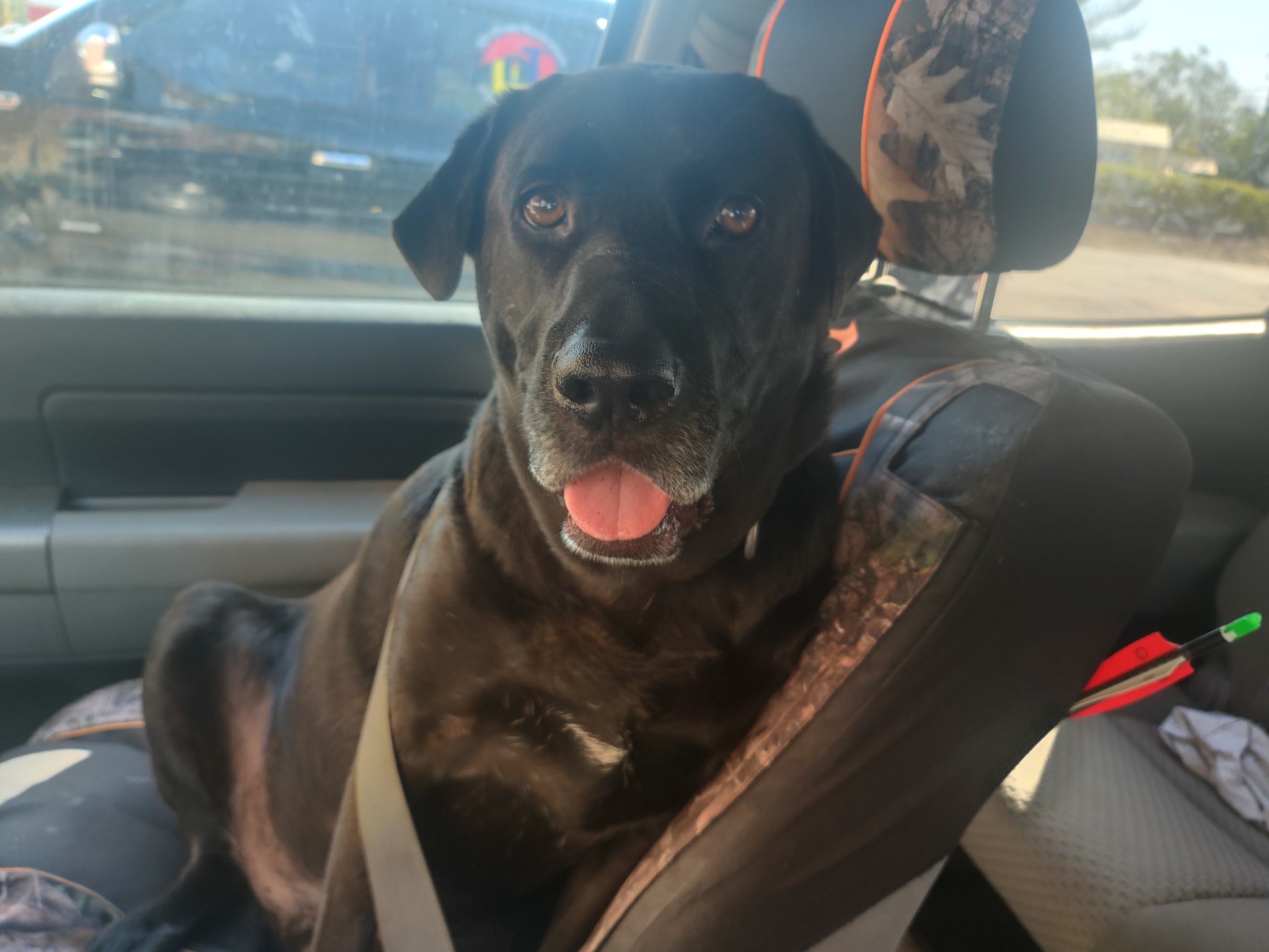    Jack and I wish Dana perino a very happy birthday 