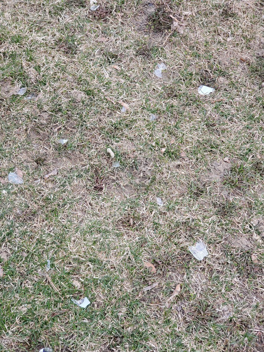 MurdockBig's tweet photo. The broken glass at the Iroquois Sports Center skateboard park has been in the grass at the path from the parking area to the skate park for over a month. Time to clean it up @TownofWhitby https://t.co/6REDGp5aIt